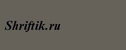 NimbusRomDGR Bold Italic 
